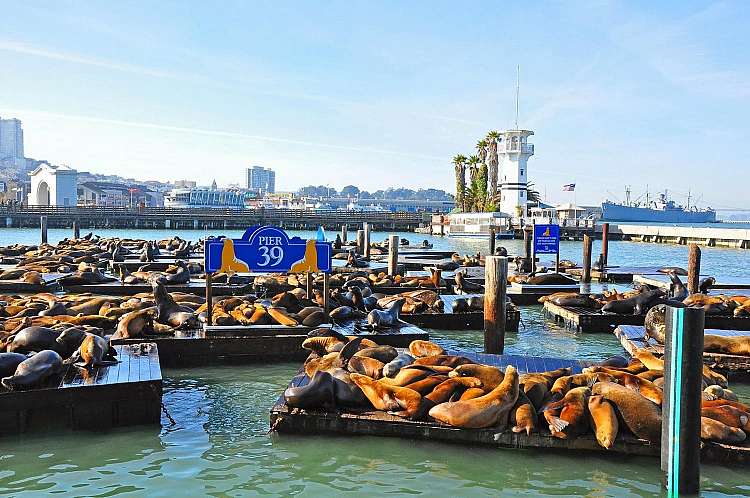 Pier 39